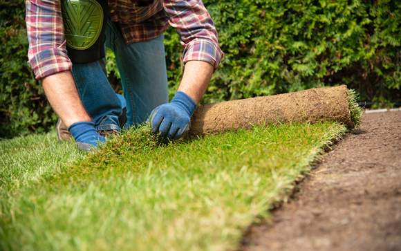 DIY Backyard Putting Green | What Equipment Do You Need?