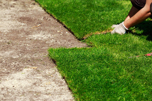 Guide to Design and Build the Best Backyard Putting Green